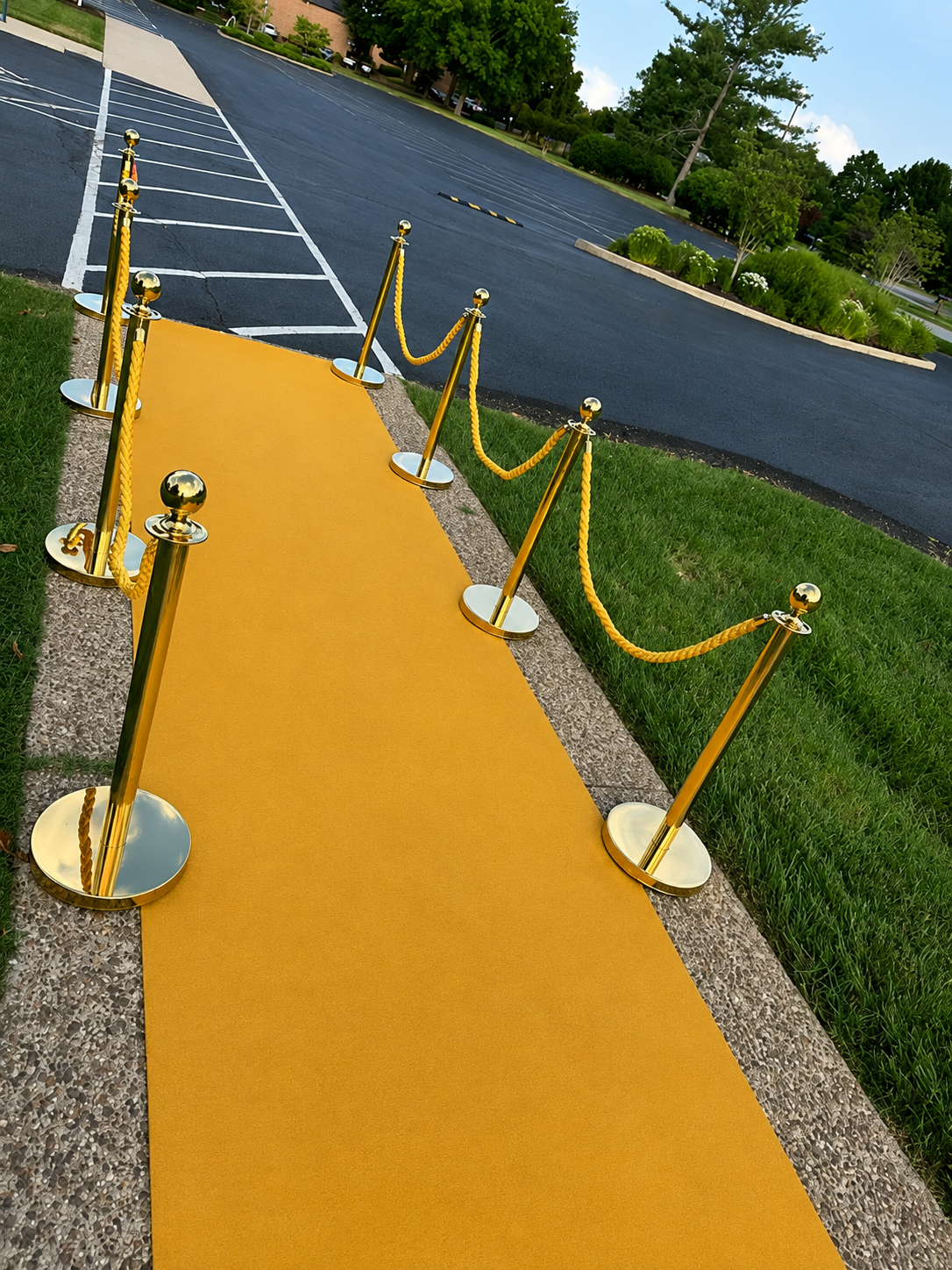 Gold VIP Carpet Entrance with Stanchions & Ropes - Image 2
