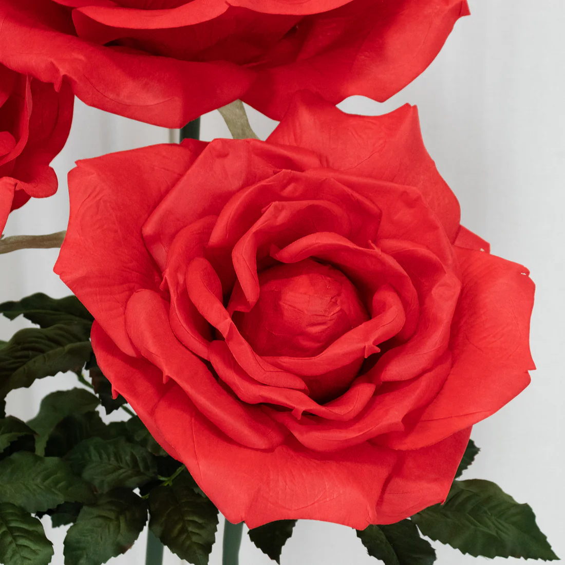 Jumbo Red Rose - Image 2